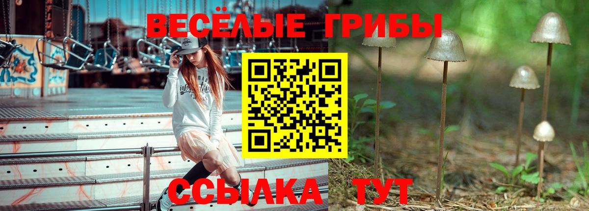 Грозный  цена наркотик  Галлюциногенные грибы Psilocybe  Вход с VPN  Галлюциногенные грибы мицелий 