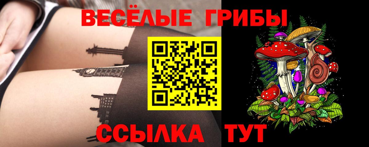 Галлюциногенные грибы Psilocybine cubensis Грозный